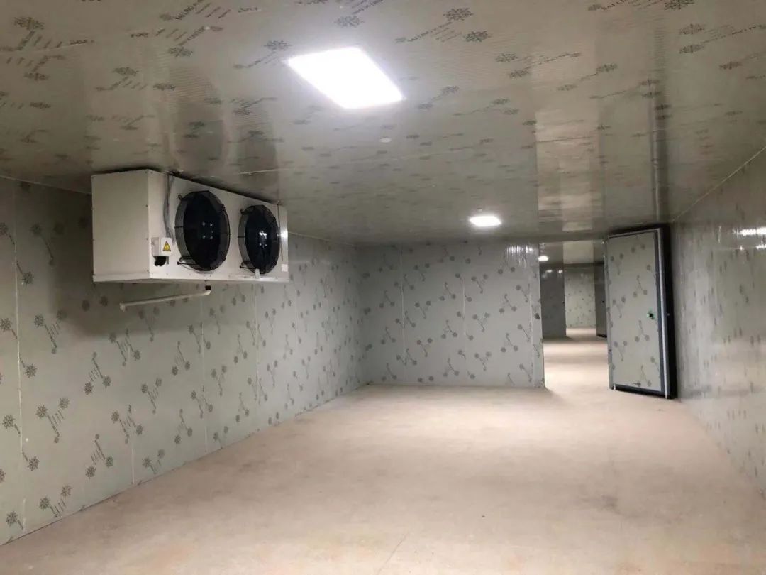 朔城气调保鲜冷库造价